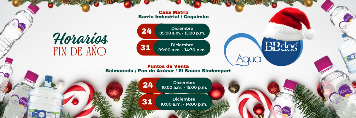 slide_navidad_horarios